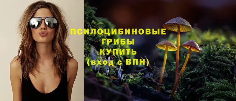 Галлюциногенные грибы MAGIC MUSHROOMS  блэк спрут ссылки  Нариманов  хочу наркоту 